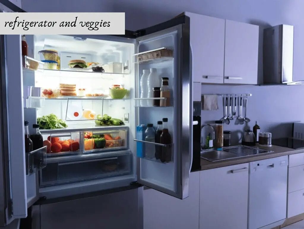 refrigerator and veggies